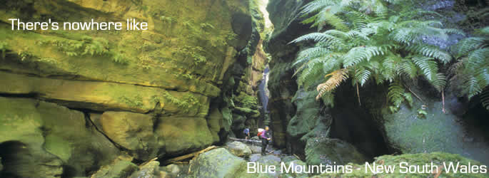 Come and holiday in Blue Mountains NSW