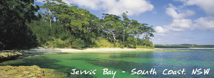 Visit NSW for great holiday experiences and events