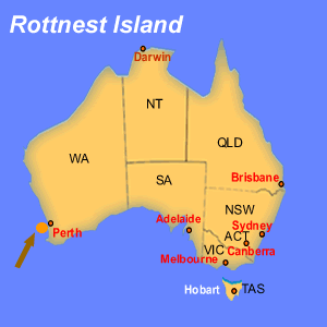 Rottnest Island - Western Australia