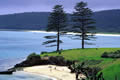 Lord Howe Island NSW Australia