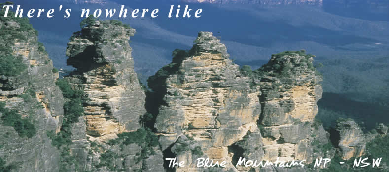 Blue Mountains National Park. NSW Australia