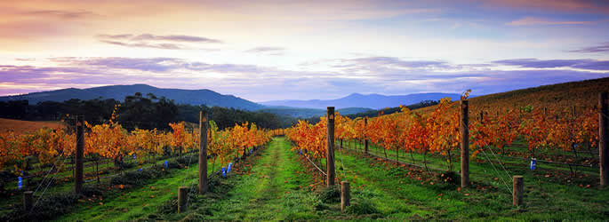 Come and holiday in Yarra Valley VIC