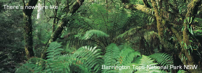 Australia National Parks Barrington Tops