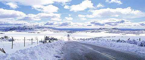 Victorian Snow Alps and Highlands Victoria National Parks