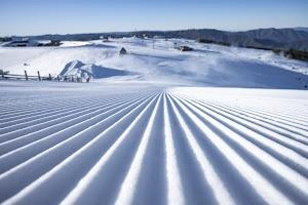 Mt Buller Cordoroy