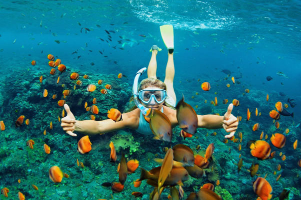 Travel Insurance is Essential