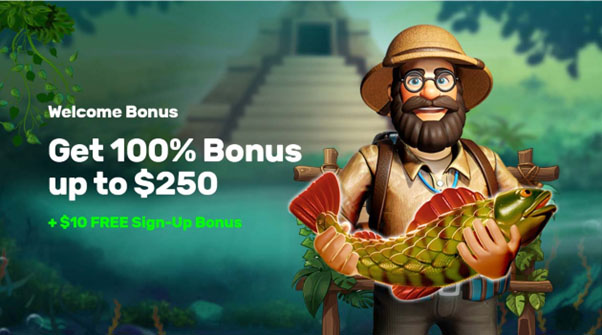 100% Bonus