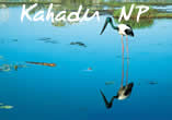 Kakadu NP - Northern Territory